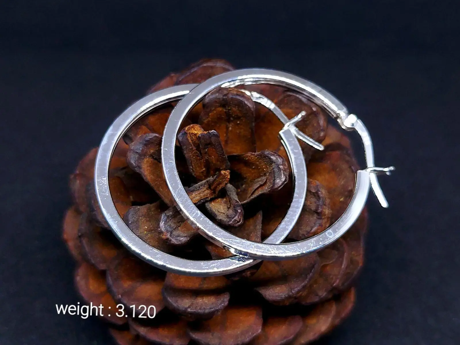 925 Sterling Silver Ear Ring