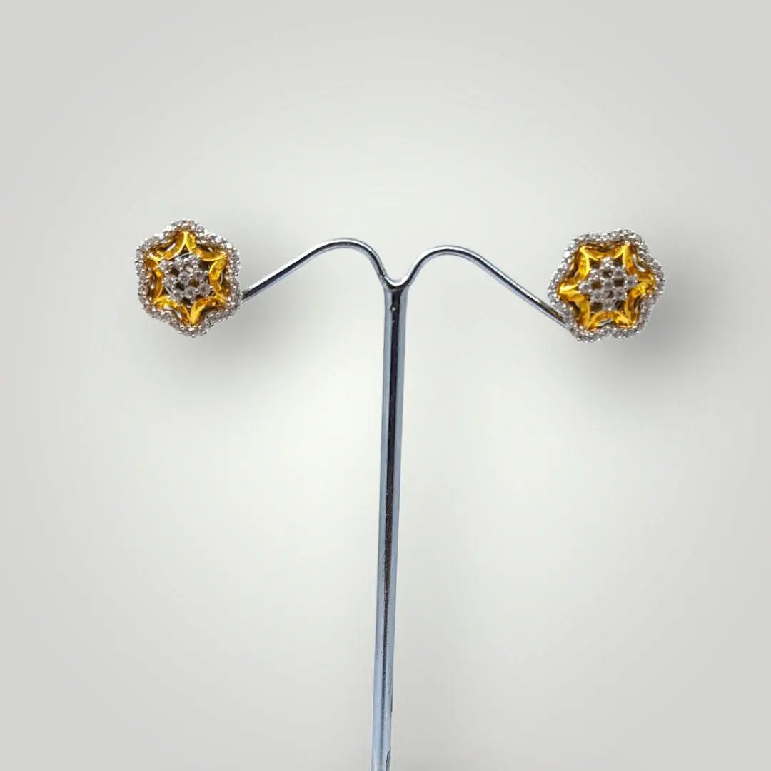 Zerkon Gold Earrings for Ladies 